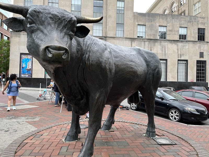 "Major" – Durham Bull Bronze Sculpture