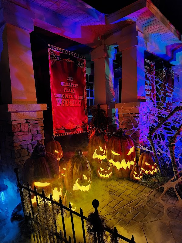 Storyteller of Vennetta