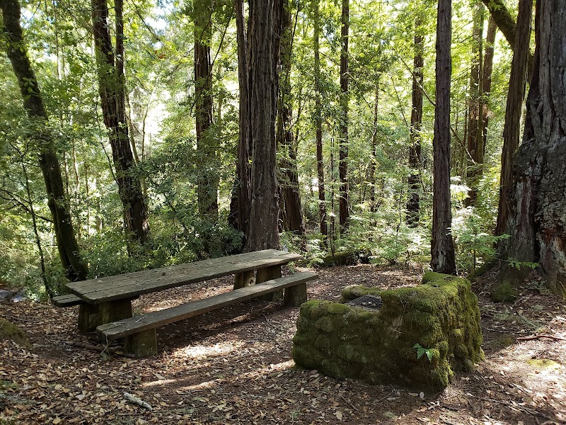 Portola Redwoods State Park