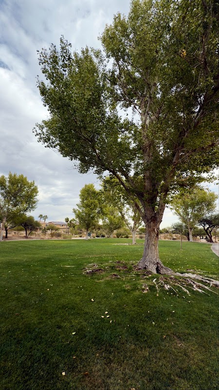 Cottonwood Canyon Trail Park