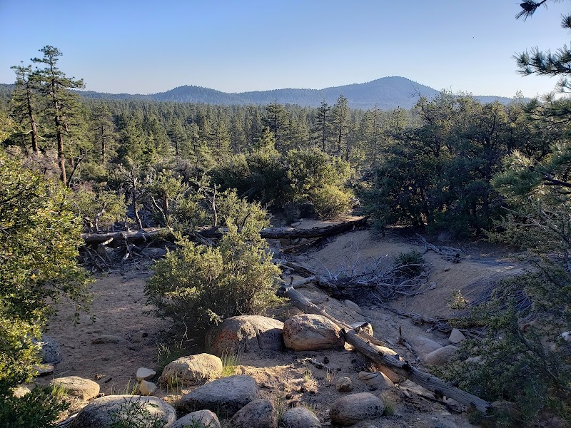 Holcomb Valley Pinnacles