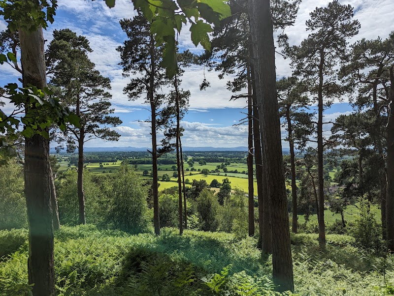 Corbet Wood Countryside Heritage Site
