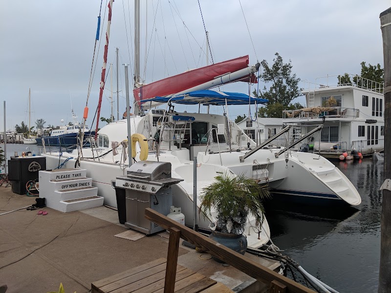 Stray Cat Sailing Adventures