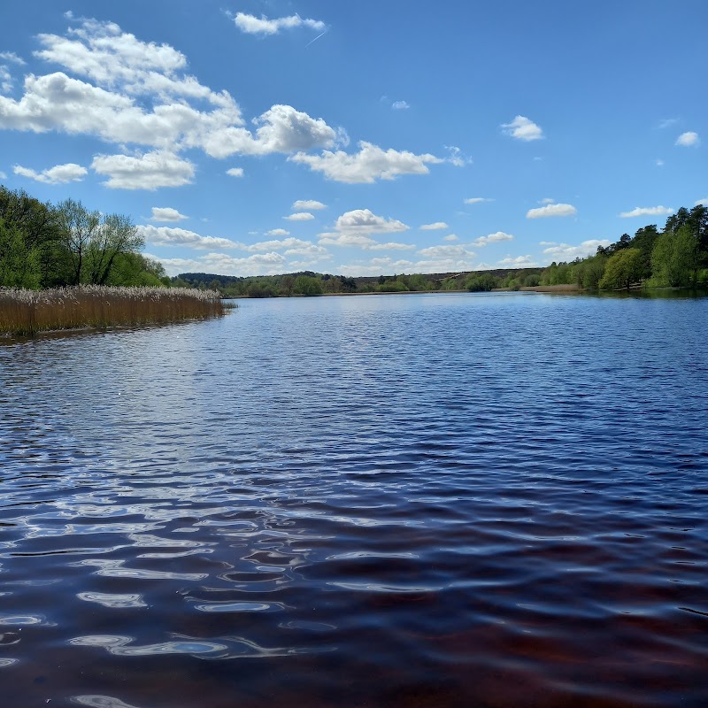 Frensham Little Pond
