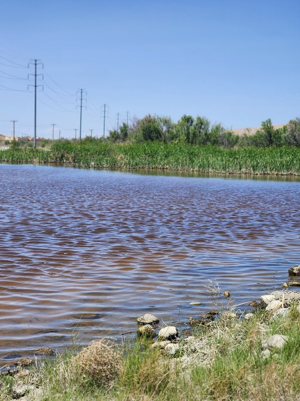 Kevin von Finger Wetlands