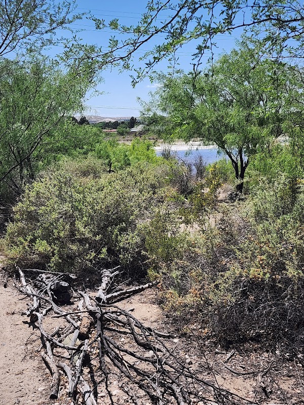 Kevin von Finger Wetlands