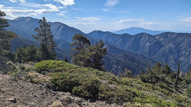San Bernardino Peak
