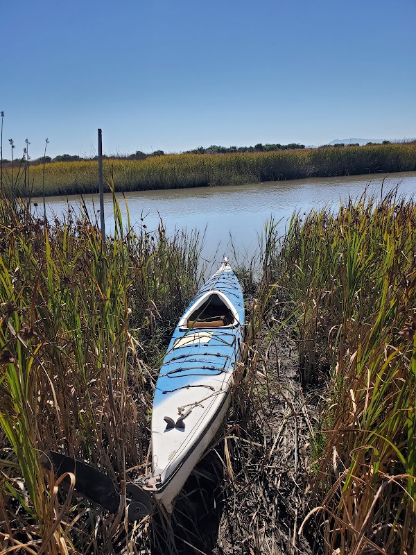 Napa-Sonoma Marshes Wildlife Area - Napa River Unit (Little Russ Island)