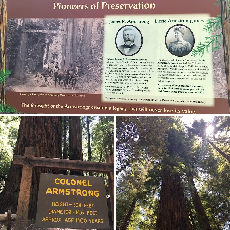 Colonel Armstrong Tree