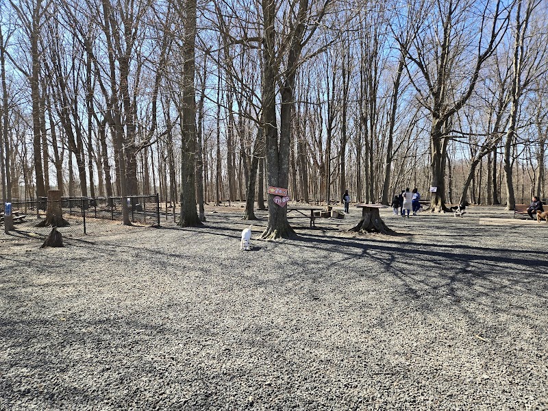 Hamden Dog Park