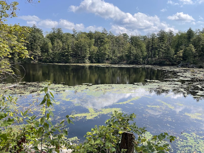 Pelton Pond - Fahnestock State Park