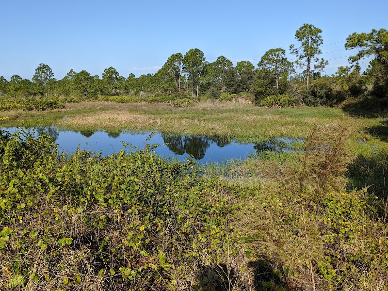 Wild Turkey Strand Preserve