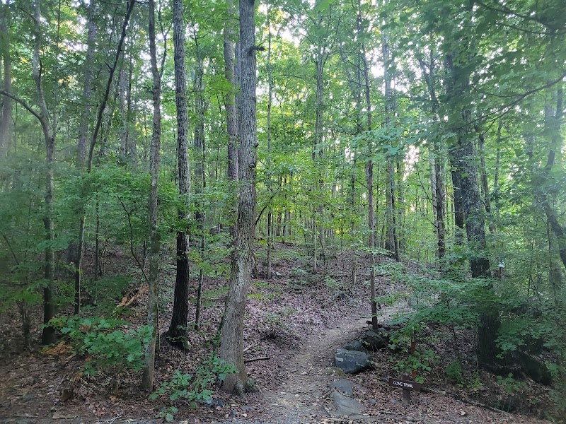 Cove trail