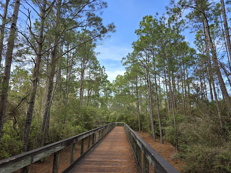 Bayou Marcus Birding Trail