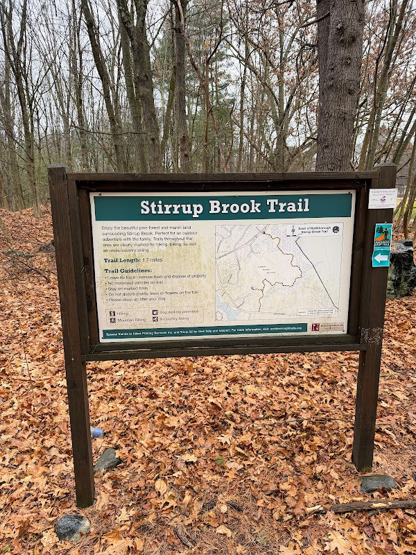 Stirrup Brook Trail Access