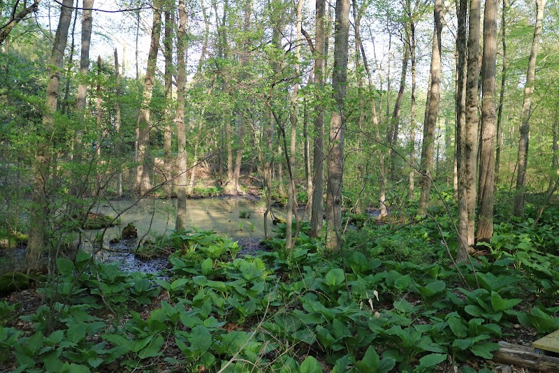 GreenLink Connector Trail (NCLT)