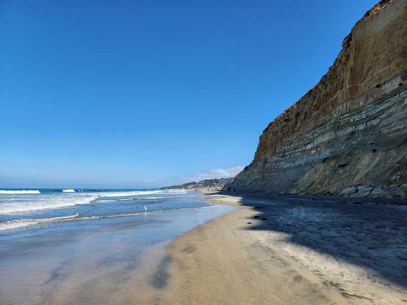 Torrey Pines State Beach