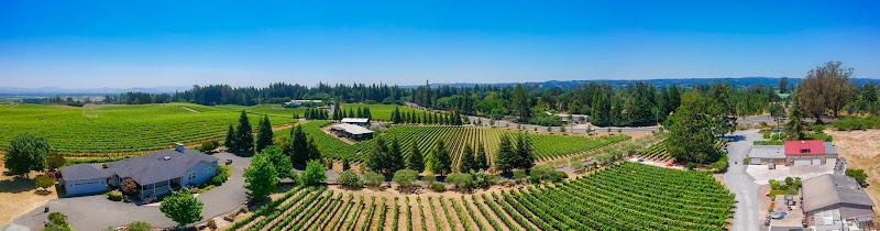 Furthermore Wines Sebastopol Tasting Room & Courtyard