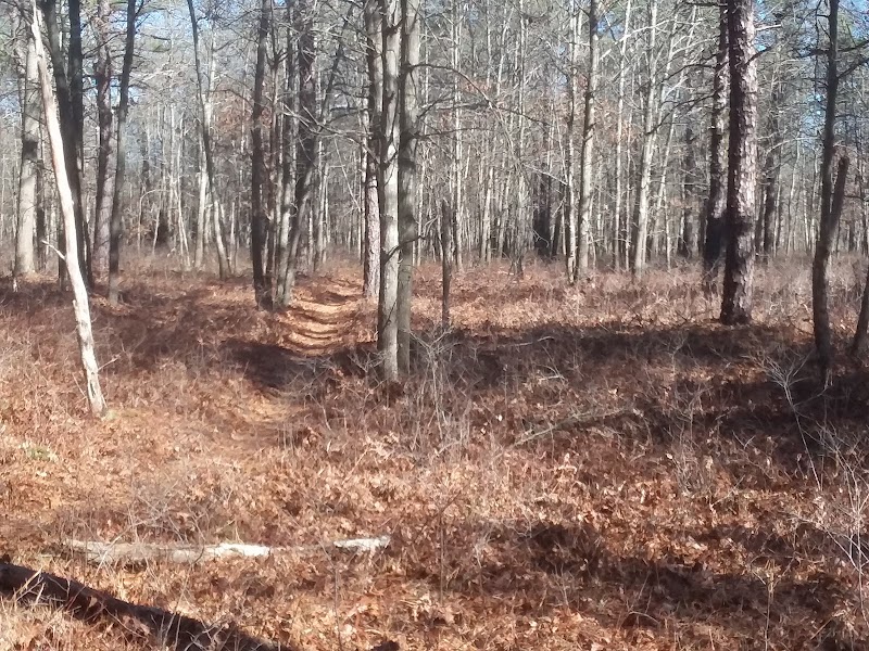 Otis Pike Preserve