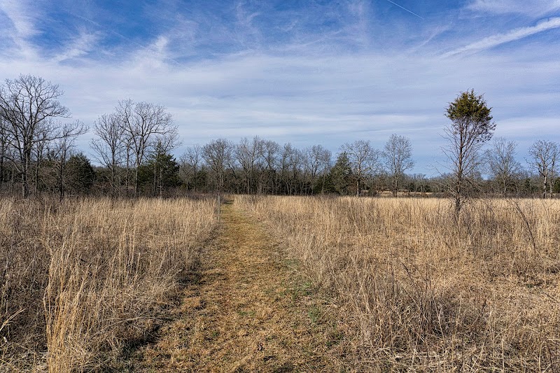 Vesta Cedar Glade Designated State Natural Area