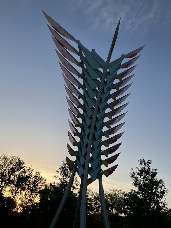 Carrollwood Pond Loop