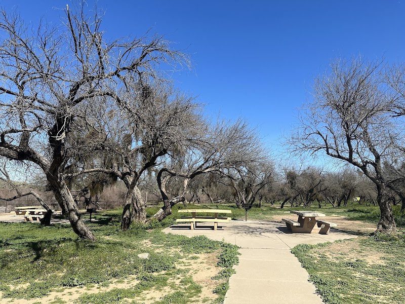 Coon Bluff Recreation Area