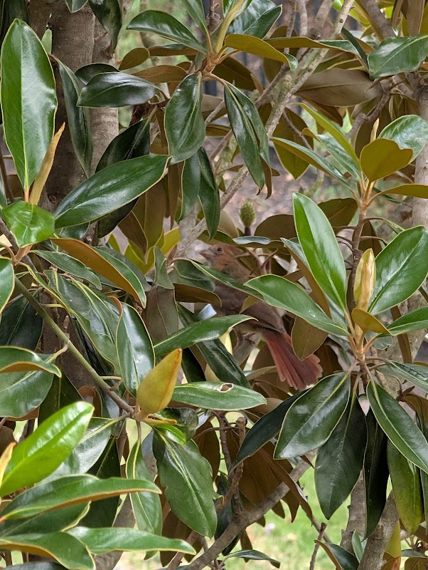 Oak Meadow Park Boat Station