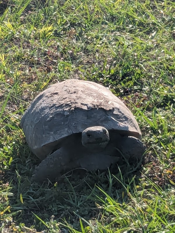 Wesley Chapel District Park - Southeast Parking