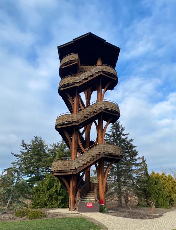 Tree Tower