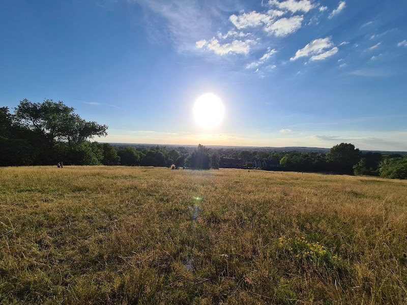 Churchfields Open Space