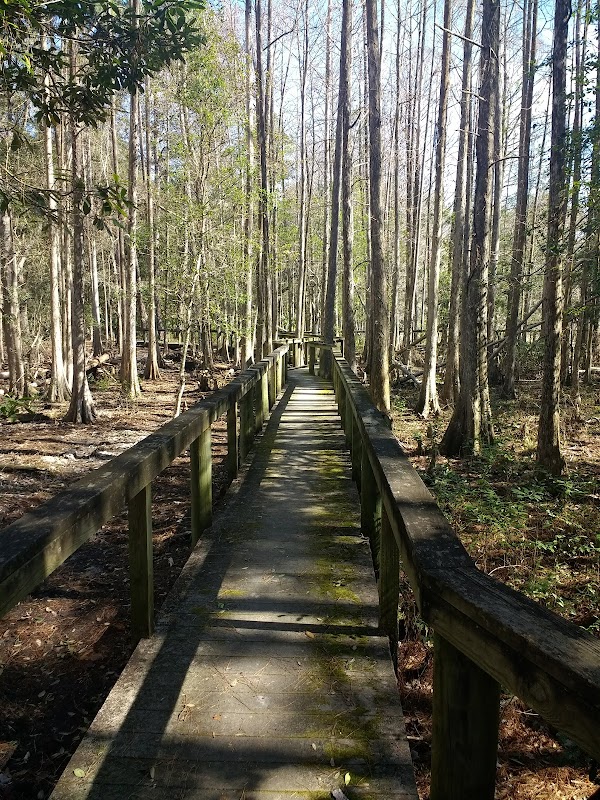 Chinsegut Wildlife Trail