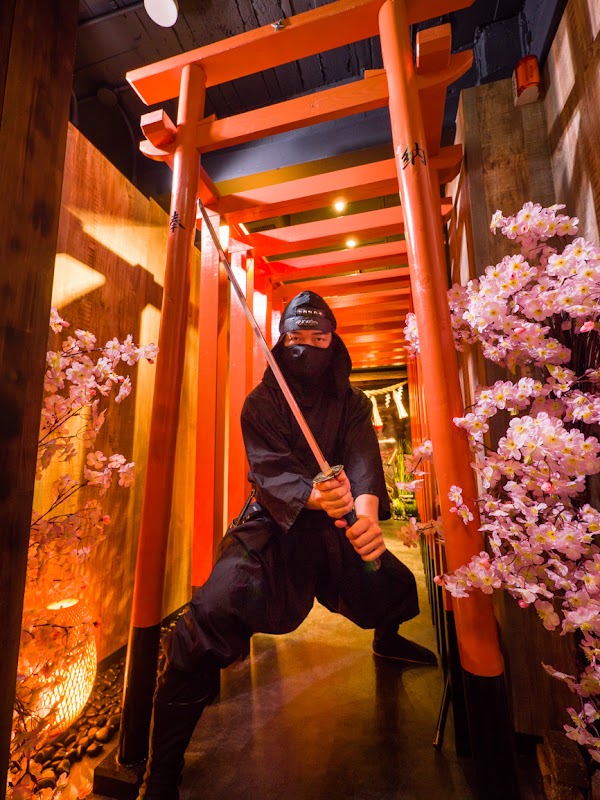 Ninja Trick House In Tokyo