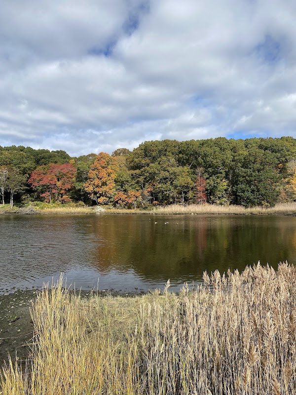Boyden Heights Conservation Area