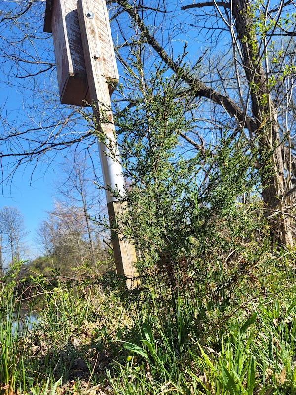 Heritage Conservancy's Jackson Pond Preserve