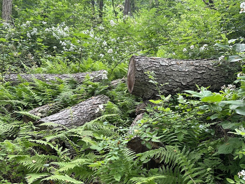 Perrineville Lake Park Parking Lot
