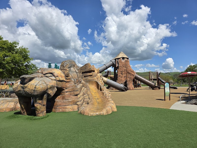 Sabercat Play Area Central Park