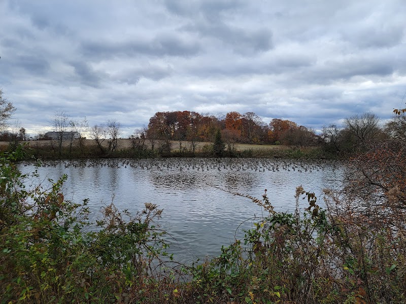 Farm Pond