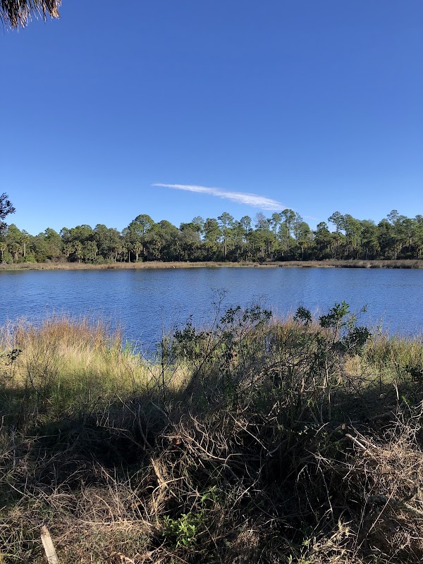Diego Pond Wildlife Viewing Blind