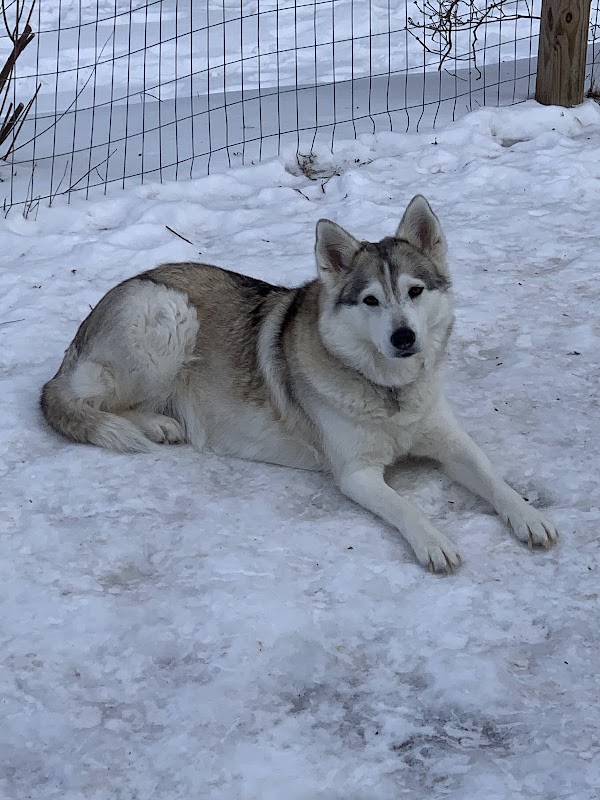 The Farm at Sakari's Place