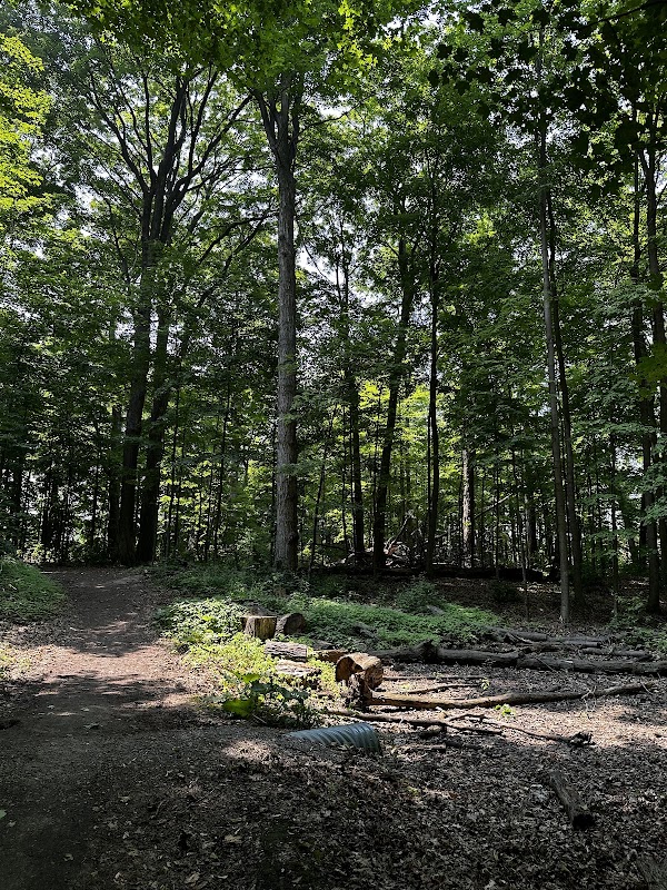 Westney Woods Parkette