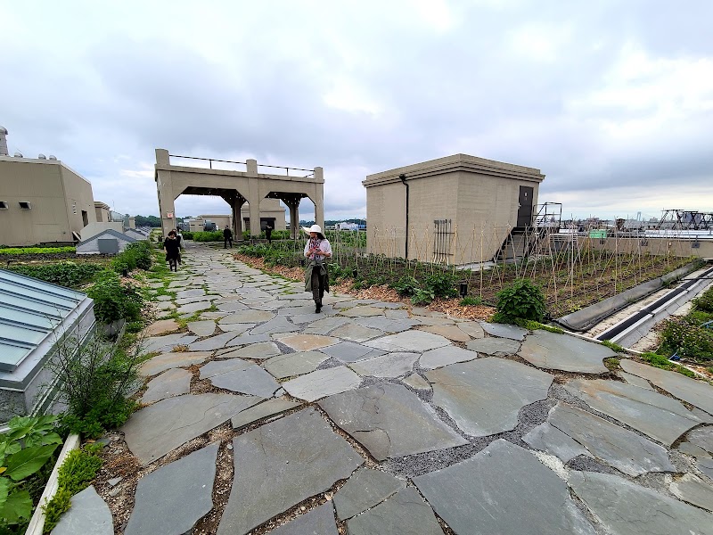 Brooklyn Grange @ Sunset Park