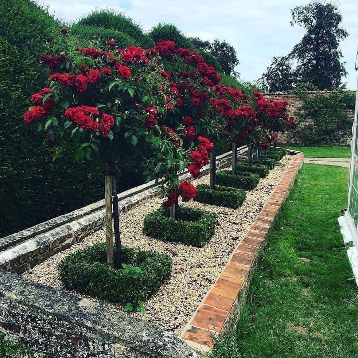 FAMILY TREE SERVICES LLC