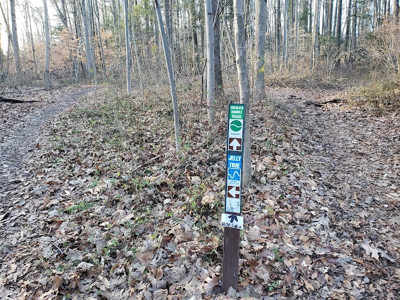 Trailhead - Cocalico Double Track/Jelly Time/Ridge Runner Trails