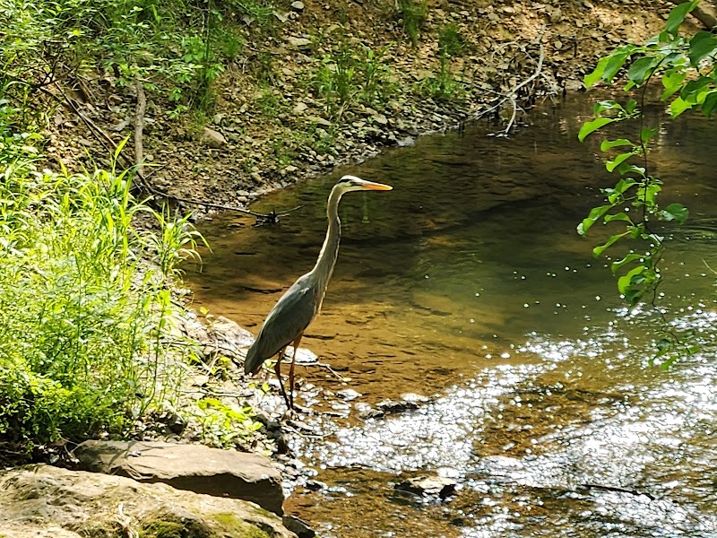 Washingtonian Woods Park