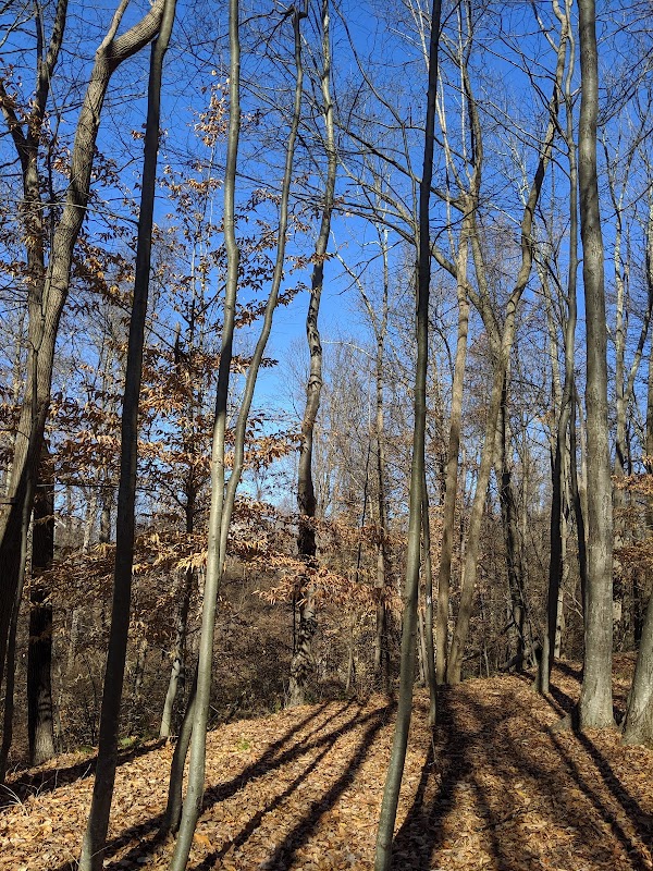 Schooley's Mountain County Park North