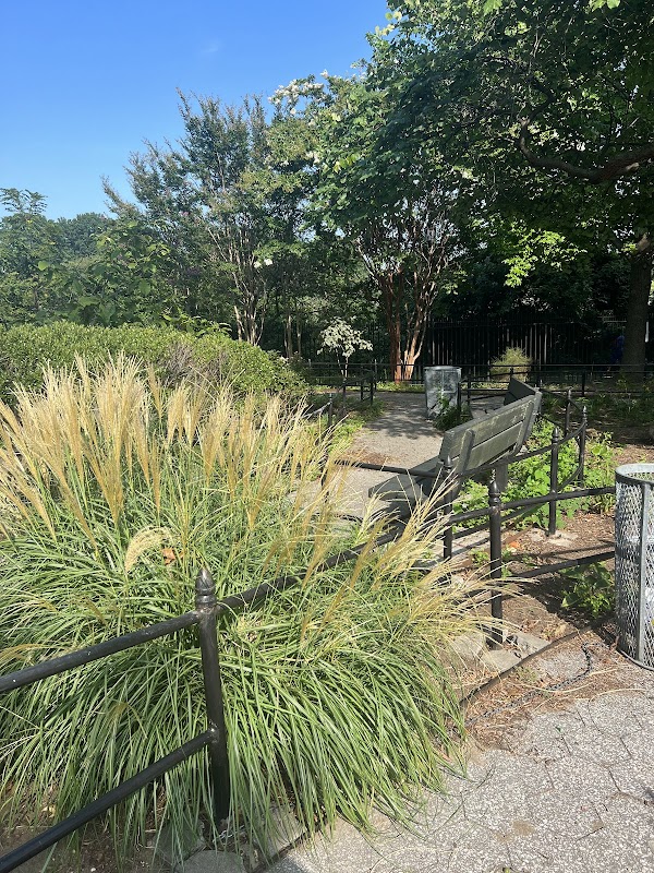Mothers garden
