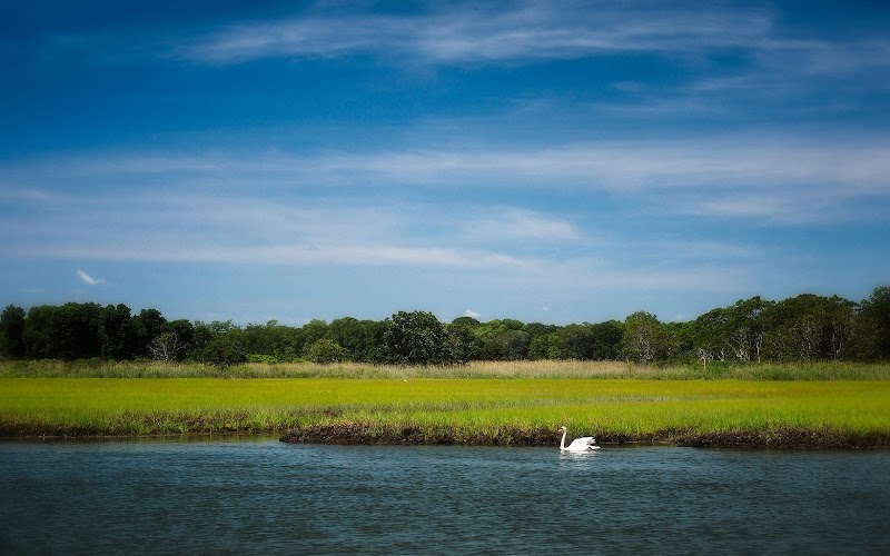 Scallop Pond Preserve