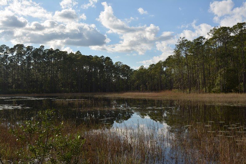 Lake Proctor Wilderness Area