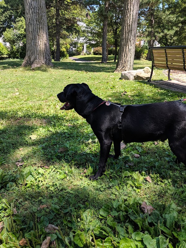 Gridley Triangle Park