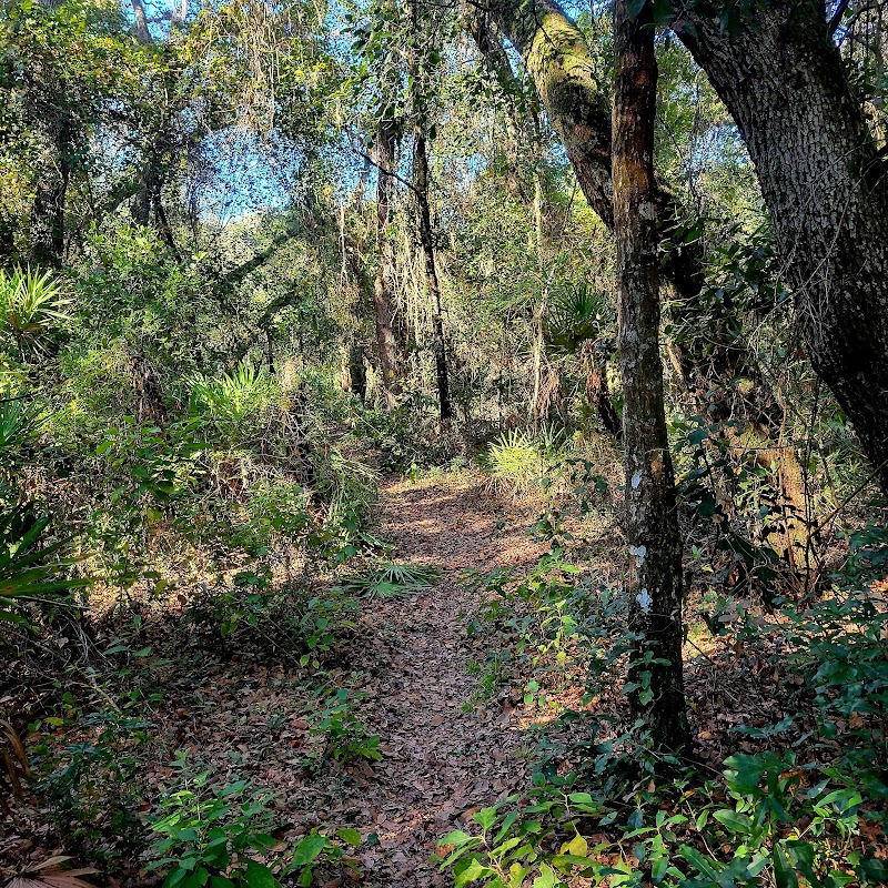 Upper Hillsborough Wildlife Management Area